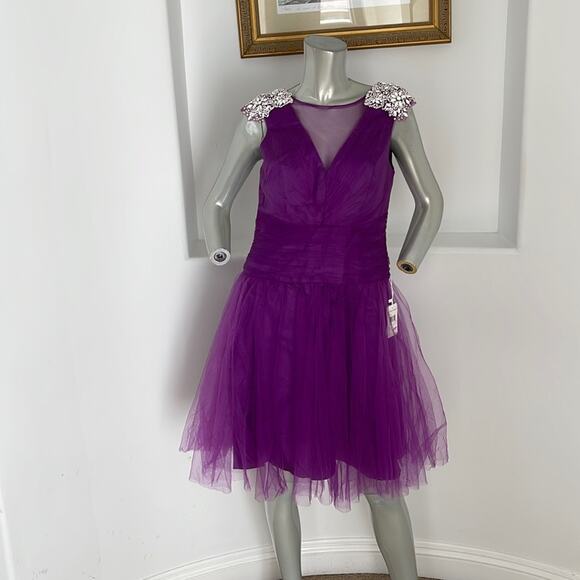 KATHY HILTON Raspberry Fit & Flare Mesh Dress Beads Embellished Shoulder Size 10 - Picture 2 of 14